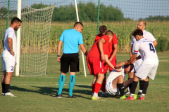 IMG_3537_1024x683