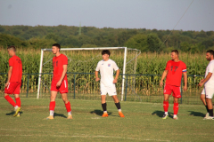 IMG_3539_1024x683