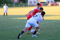 IMG_3633_1024x683