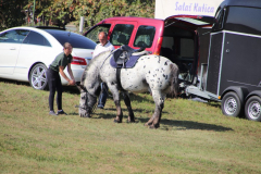 IMG_2174_1024x683