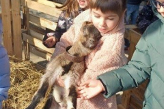 zoo2_345x768