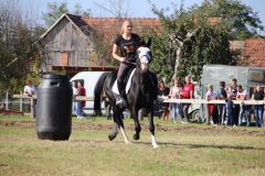 IMG_2166_1024x683