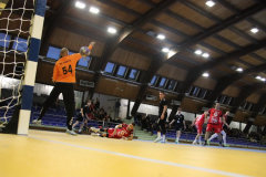 IMG_9490_1024x683