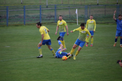 IMG_3563_1024x683
