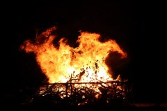 IMG_2036_1024x683