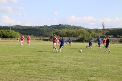 IMG_2336_1024x683