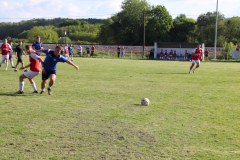 IMG_2337_1024x683