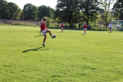 IMG_2342_1024x683