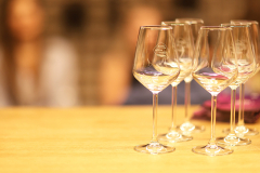 wine-not-2025-167