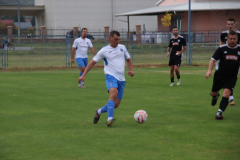 IMG_8434_1024x683