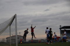 IMG_8470_1024x683