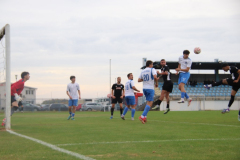 IMG_8497_1024x683