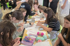 viber_slika_2025-11-10_12-26-14-676-–-kopija_576x768