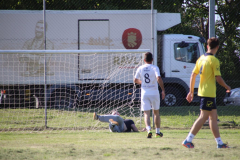 IMG_1926_1024x683
