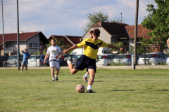 IMG_1959_1024x683
