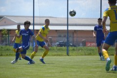 DSC_0050_1024x683
