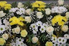 IMG_6642_1024x683