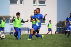 IMG_6558_1024x683