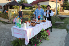 IMG_0950_1024x683