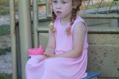 IMG_0983_1024x683