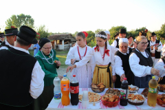 IMG_0997_1024x683