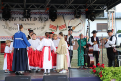 IMG_1138_1024x683