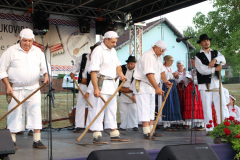 IMG_1223_1024x683