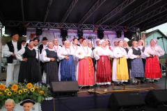 IMG_1358_1024x683
