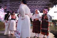 IMG_1477_1024x683