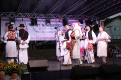 IMG_1482_1024x683