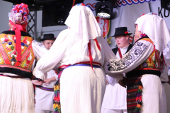 IMG_1511_1024x683