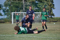 DSC_0317_1024x683