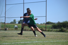 DSC_0328_1024x683