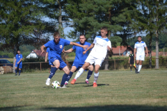 DSC_0343_1024x683