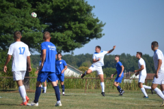 DSC_0355_1024x683