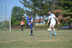 DSC_0391_1024x683
