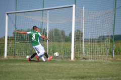 DSC_0045_1024x683