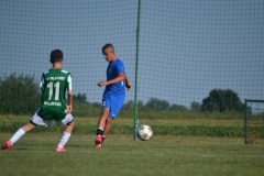 DSC_0087_1024x683