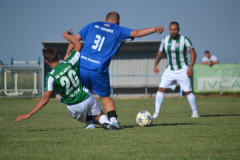 DSC_0098_1024x683