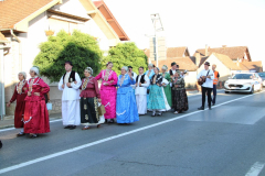 IMG_5439_1024x683