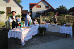 IMG_5441_1024x683