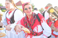 IMG_5480_1024x683