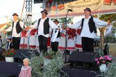 IMG_5786_1024x683