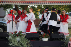 IMG_5861_1024x683