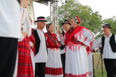 IMG_5894_1024x683