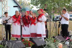 IMG_5906_1024x683