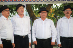IMG_5946_1024x683