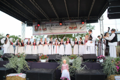 IMG_6067_1024x683