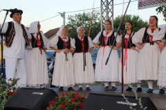 IMG_6074_1024x683