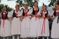 IMG_6076_1024x683